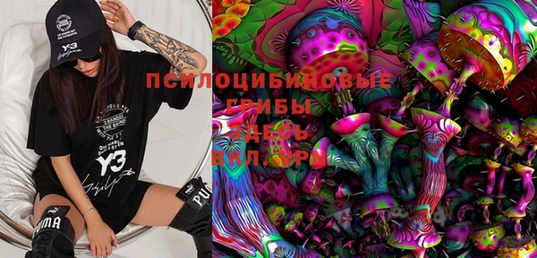 марки nbome Пересвет