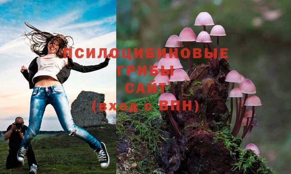 мдпв Переславль-Залесский