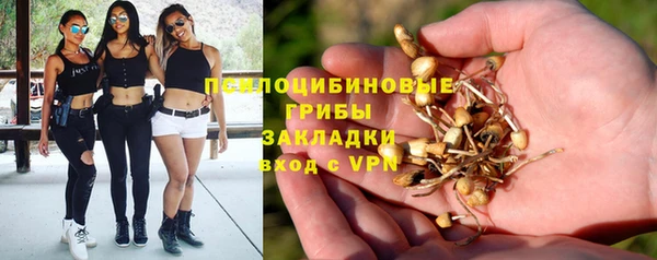 первитин Воткинск