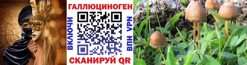 Галлюциногенные грибы Psilocybine cubensis  мега   Сорск 